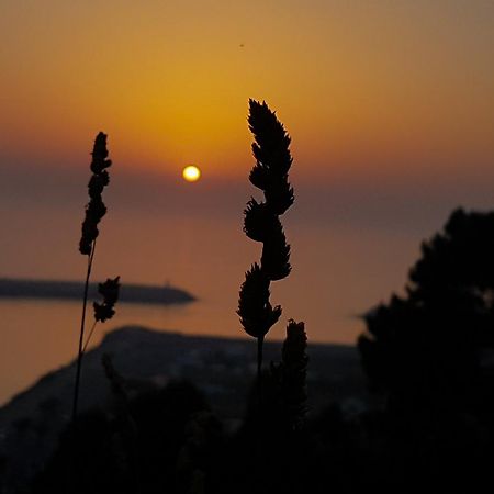 Your Nest In Nazare - Ocean View Villa Εξωτερικό φωτογραφία